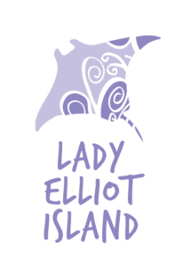 lady elliot island tours from hervey bay